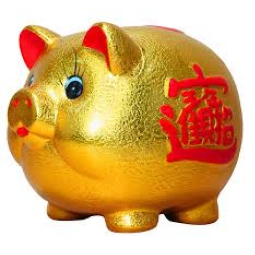 Heo nhiều màu Heo nhiều màu